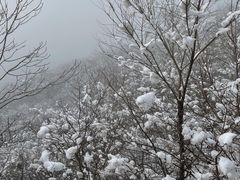 -妙峰山风景名胜区