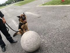 -無邪日式甜品(世博源店)