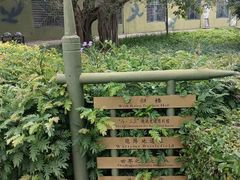 -大嶝英雄三岛战地观光园