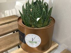 -厝内小眷村(吴江万宝店)