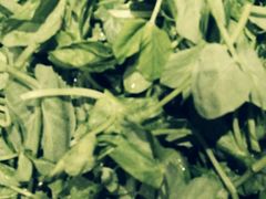 -黔蘑菇四季餐厅(观山湖店)