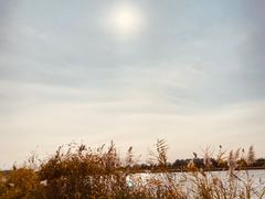 -绿堤公园