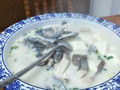 -全乐鱼馆·淳牌有机鱼直营店
