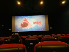-大地影院(上海南汇店)