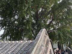 -自如ZSPACE四合院艺术餐厅