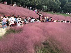-牛岗山公园
