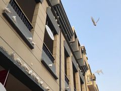 -王府井奥莱临潼小镇(临潼店)