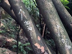 -火炉山森林公园