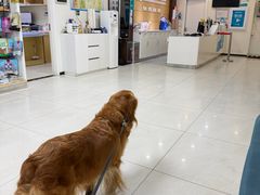 -美联众合动物医院·24h京西诊疗中心
