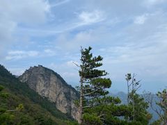 -牛背梁国家森林公园