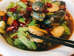 船歌辣炒小鲍鱼-船歌·鱼水饺青岛菜(闽江二路店)
