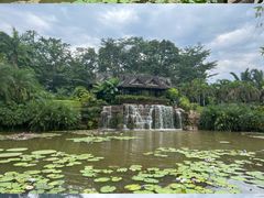 -中国科学院西双版纳热带植物园