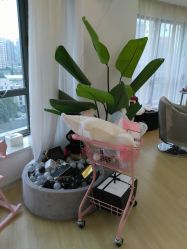 -E.L.K造型momopark店