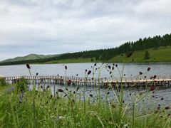 -塞罕坝国家级自然保护区