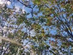 -永定河休闲森林公园