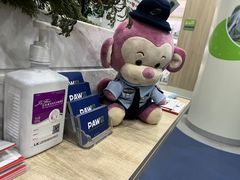 -佩兹宠物医院肿瘤专科·眼科·牙科(黄浦店)