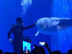 -多彩贵州城极地海洋世界