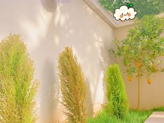 -DC咖啡(学田南苑店)
