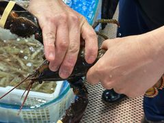 -船奇蒸汽海鲜·闽菜(八市海鲜总店)