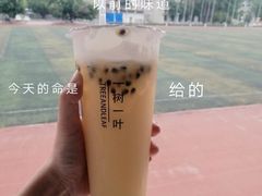 -一树一叶·福建茶档(石鼓路店)