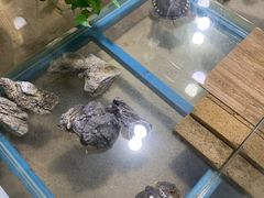 -灵玲国际马戏城
