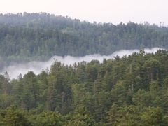 -五营红松林海景区