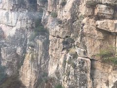 -北京上方山国家森林公园