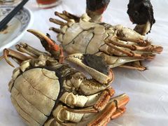 -芸海阁·农家私房菜(沙家浜景区出口店)