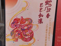 -南京市民俗博物馆(甘熙宅第)