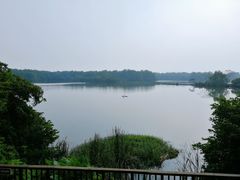 -大湾区中央湿地公园
