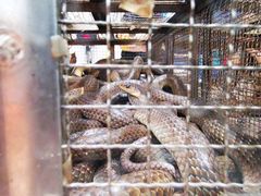 -榕记(番禺总店)