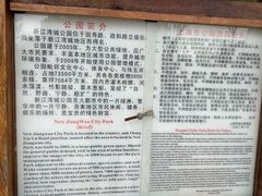 -新江湾城公园