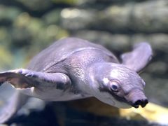 -欢乐海岸海洋奇梦馆