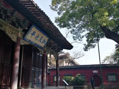 -晋祠公园