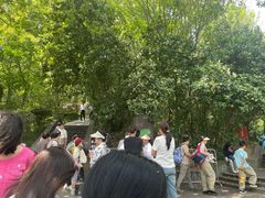 -上海佘山国家森林公园西佘山园