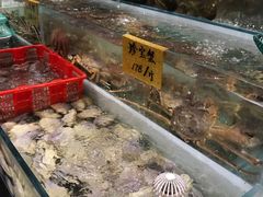 -海蓝海鲜馆(五四北店)