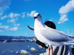 -滇池海埂公园