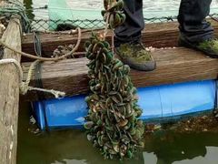 -邹记·美食(斗门店)