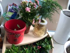 -哈沐德国际托育早教(保利城旗舰店)