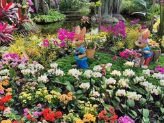 -北京植物园-展览温室