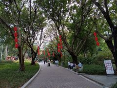 -东风公园