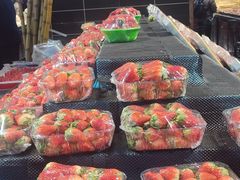 -新世界百货(顺义店)