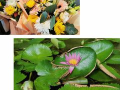 -三亚南山文化旅游区