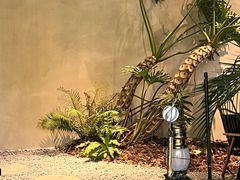 -J Create城市露营咖啡·简餐·宠物(上海动物园店)