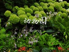 -北京动物园