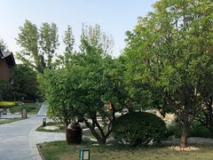 -思念果岭悦温泉