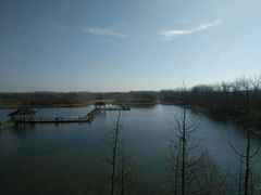 -溱湖国家湿地公园
