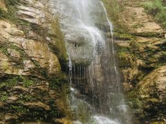 -重庆睡佛山森林公园