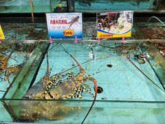 -渔民新村(番禺总店)