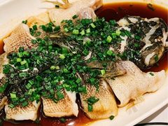 -南麓·浙里(外滩店)